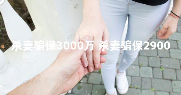 杀妻骗保3000万 杀妻骗保2900
